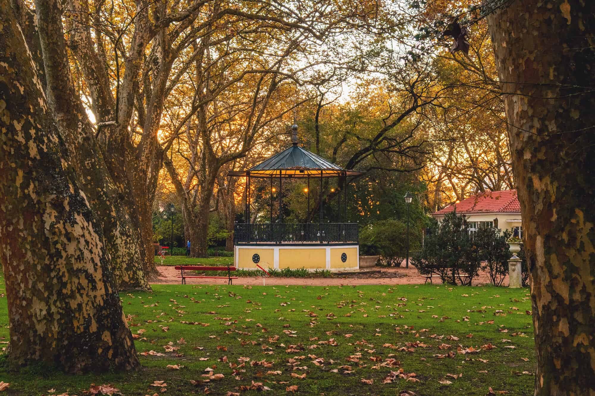 Caldas da Rainha: Última escapadinha encantada de 2024