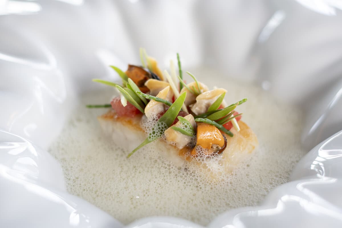 Prato Cozinha Portuguesa Restaurantes SANA 8