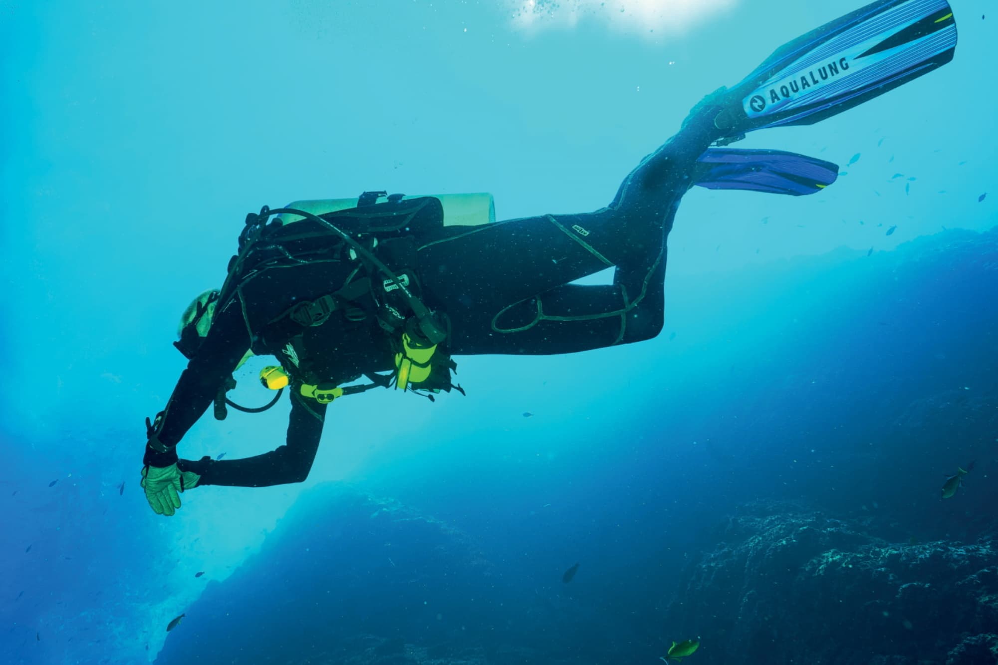 Dive into Nature