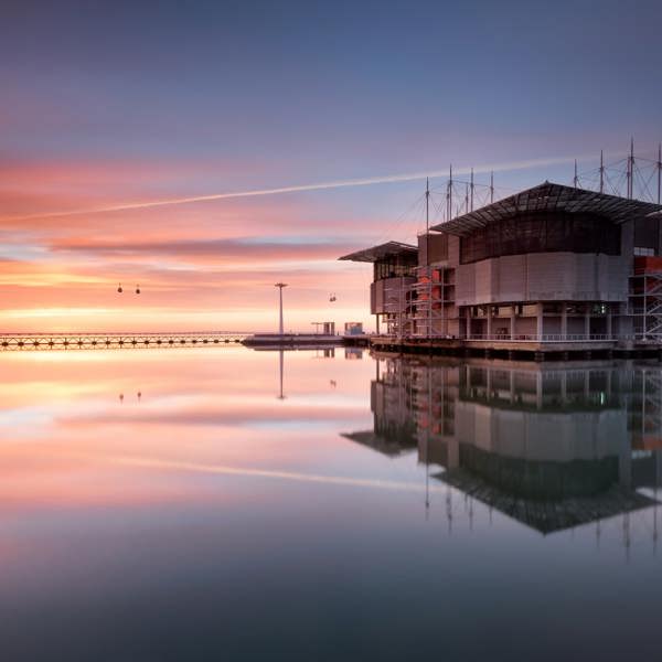 Lisbon Oceanarium